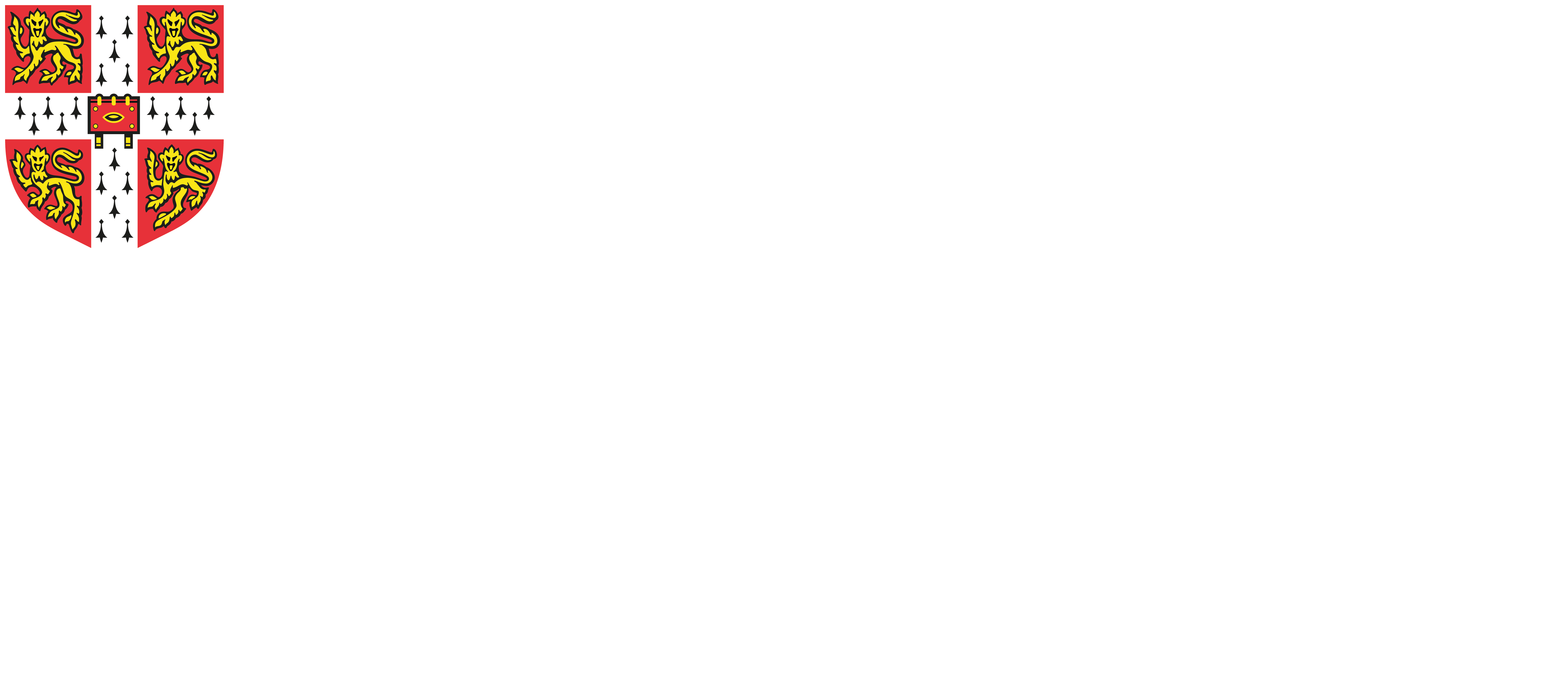 Cambridge International School